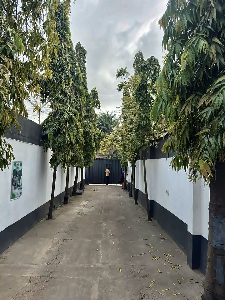 Tree-lined driveway leading from the school gate